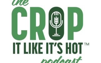 Crop It Like It's Hot: How plant breeders bring new wheat varieties to market