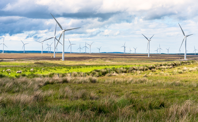 'It's working': Clean energy supplies nearly 80 per cent of power in Britain on Saturday