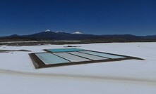 Millennial Lithium's Pastos Grandes project in Salta province, Argentina