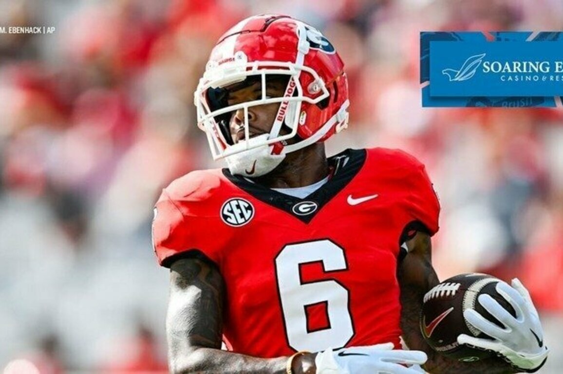 Lions draft wide receiver Dominic Lovett