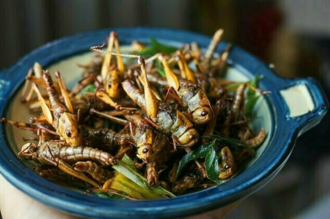 Africa's superfood heroes - from teff to insects - deserve more attention