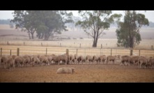  Drought Hubs around the country have received a funding boost. Picture courtesy Agriculture Victoria.