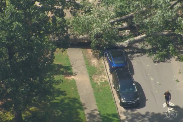 Tree falls, crushes Tesla in north Raleigh neighborhood