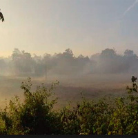 Majuli wrapped in winter fog, offering mesmerising morning views