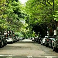 2 ways cities can beat the heat: Which is best, urban trees or cool roofs?