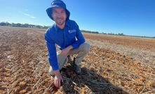 NSW DPI research agronomist Mathew Dunn at the Wagga Wagga, NSW, research farm, during a field day in early February. Photo: Mark Saunders.