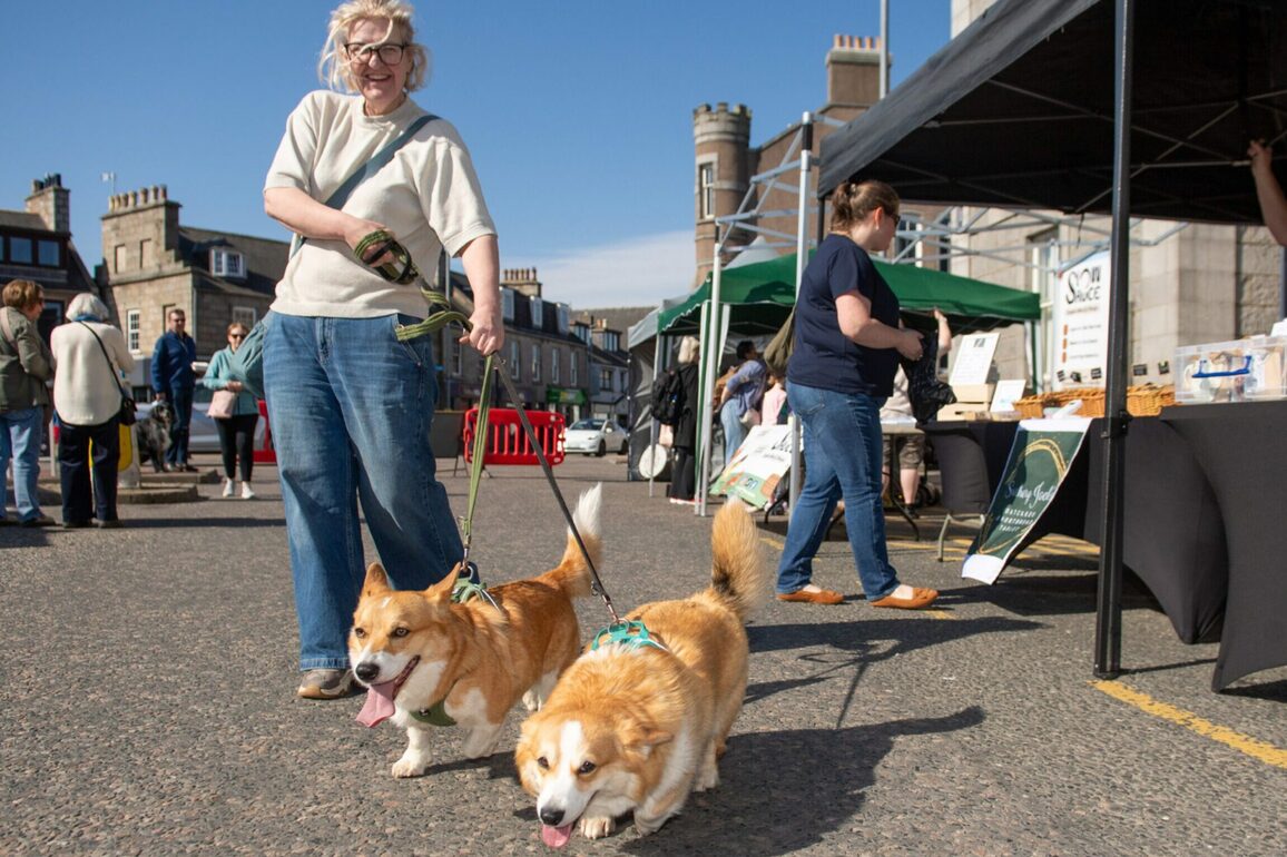 Foodies bask in the sun at Inverurie Farmers Market