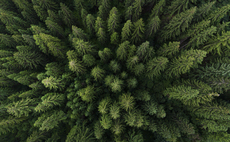 Can the carbon removal market scale up to meet future demand?