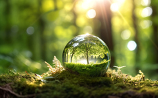 Step Up for Nature: SBTN announces first cohort of companies to join new nature initiative