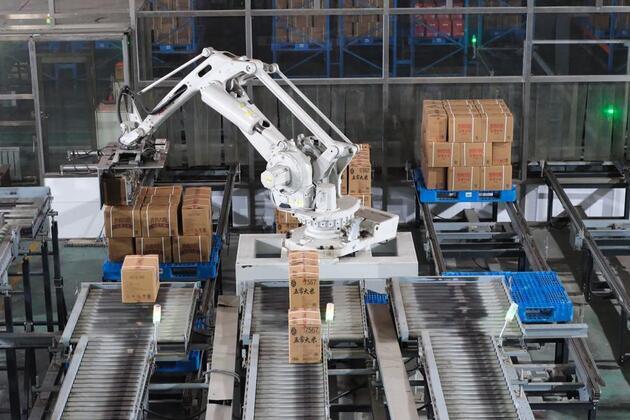 Digital tech, smart gear reshape farming in China's NE granary