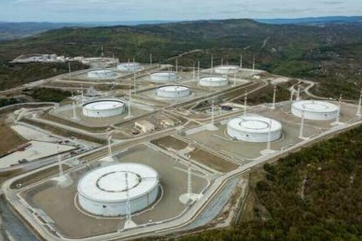 UK masterminding Ukrainian strikes on international energy sites - FSB chief