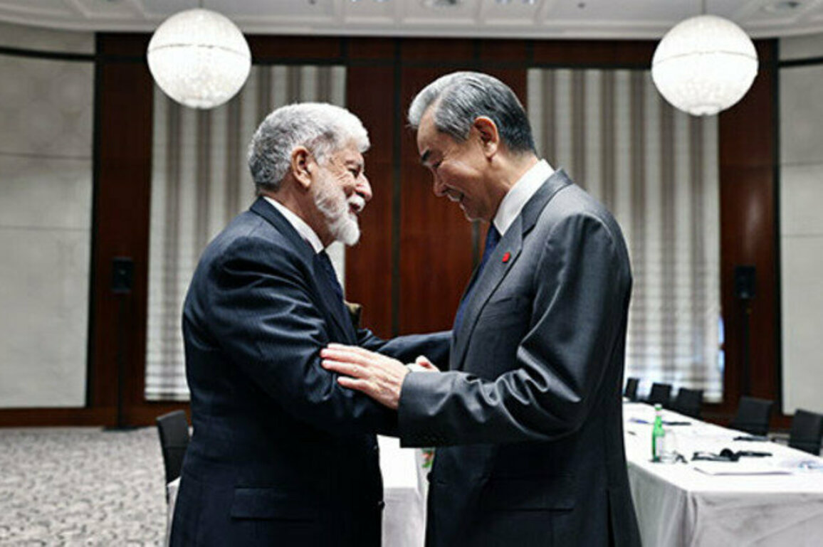 Chinese FM calls for further cooperation with Brazil
