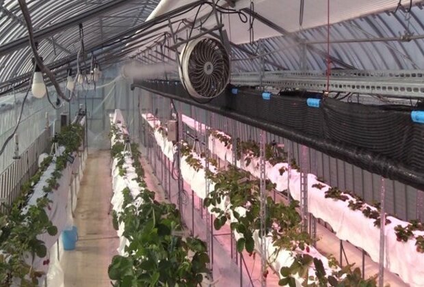 Panasonic introduces agricultural technology in Japan