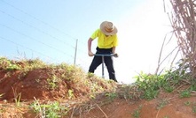 Queensland Bauxite’s South Johnstone project