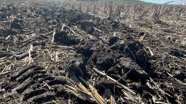 New research has shown there is potential for primary producers to be rewarded for good soil stewardship. 