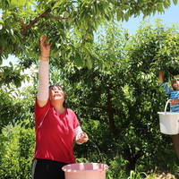 CHINA-CHONGQING-TECH-DRIVEN LOGISTICS-PLUM DELIVERY (CN)