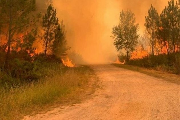 Extreme Heat Wave Sparks Wildfires in Parts of Europe