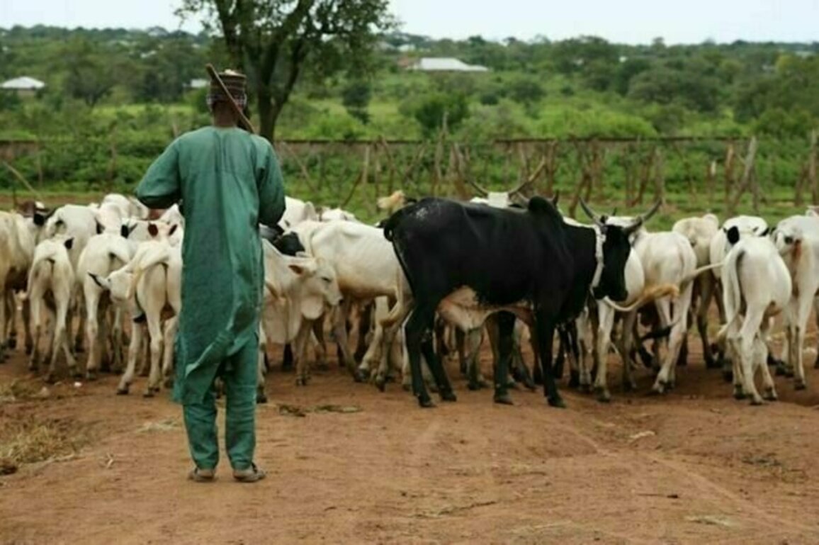 Adaptation au changement climatique en Afrique pendant 10 000 ans : une etude offre des enseignements pour notre epoque
