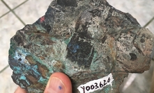  Mineralised sample from shale with carbonised plants that assayed 6.37% Cu & 48.04g/t Ag at Lost Cities, Ecuador