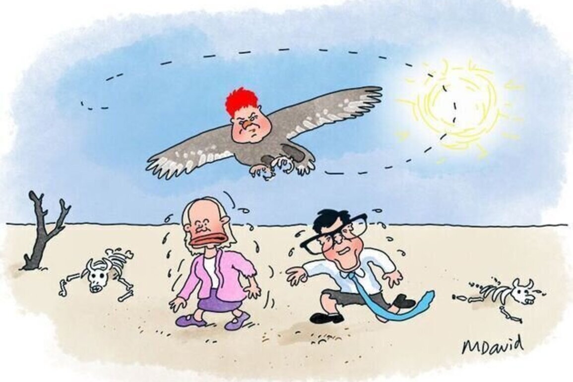 Pauline's ON in polls but can't PHON a friend... at the AEC