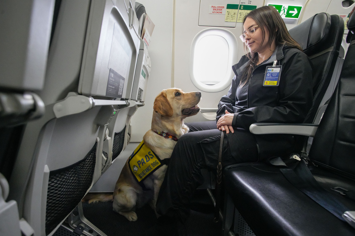 CANADA-RICHMOND-SERVICE DOG-PLANE-TRAINING