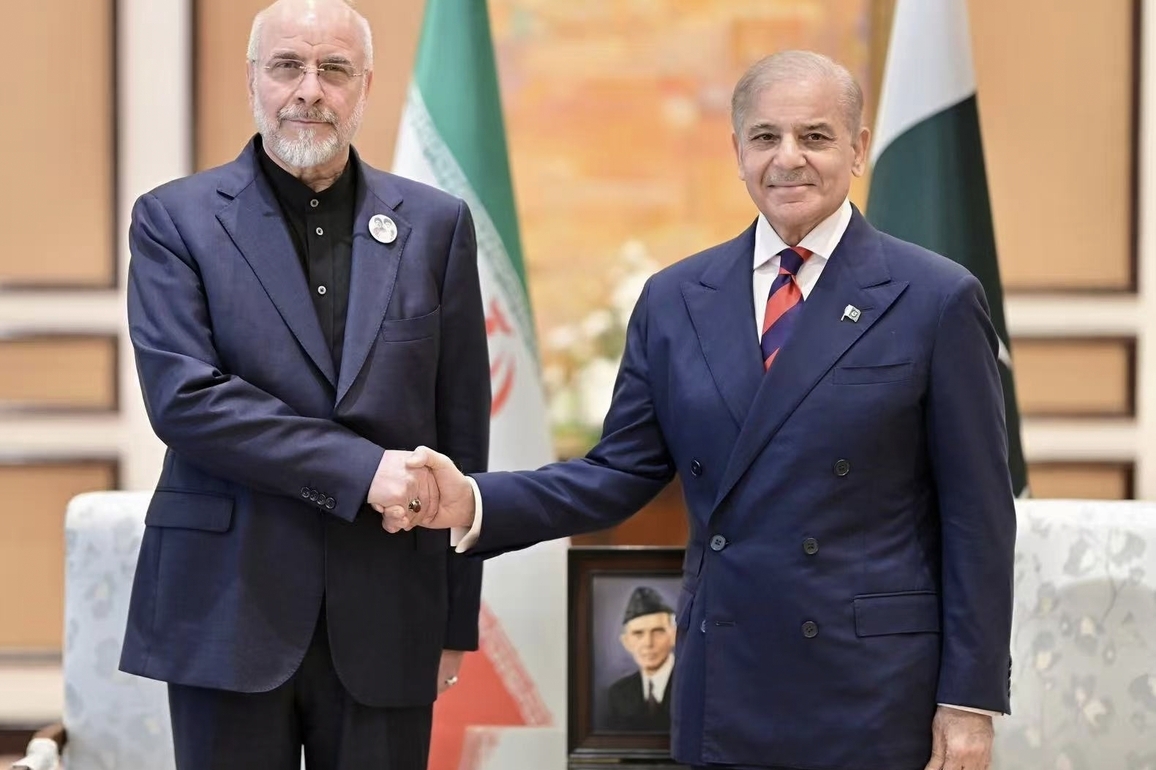 Photo Flash | Iranian team meets Pakistani PM, preconditions discussed: source