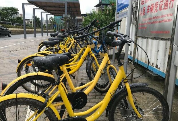 Ofo Founder Considering Bankruptcy for Bike Sharing Company