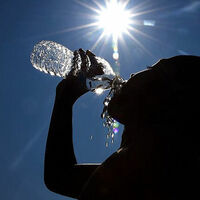 Extreme heat alerts issued across multiple US states