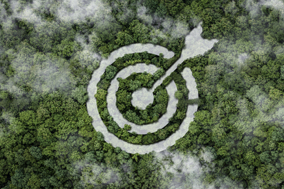 Paris Agreement: A reflection on net zero 10 years on