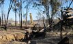  Drilling at GDM's Coonambula 