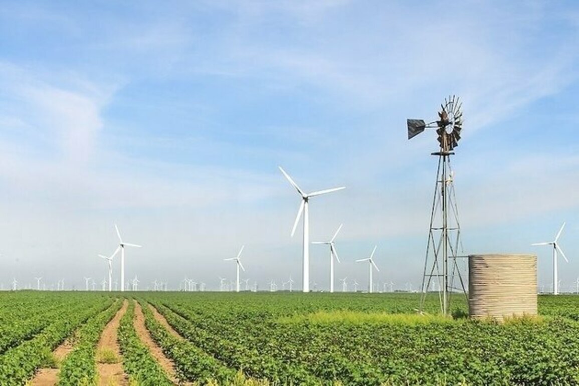 Texas Moves on Renewables While Alberta's Oil Ties Hold Firm