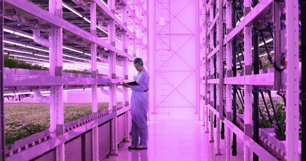 Government announces £12.5m robotic farmers funding boost - Vimarsana News