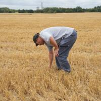 How English farmers cultivate hope amid uncertainty