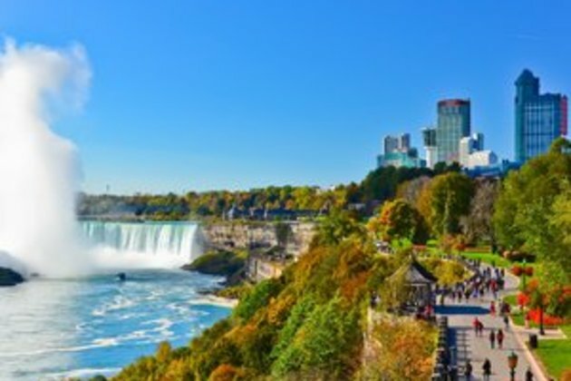 Man survives plunge over Niagara Falls