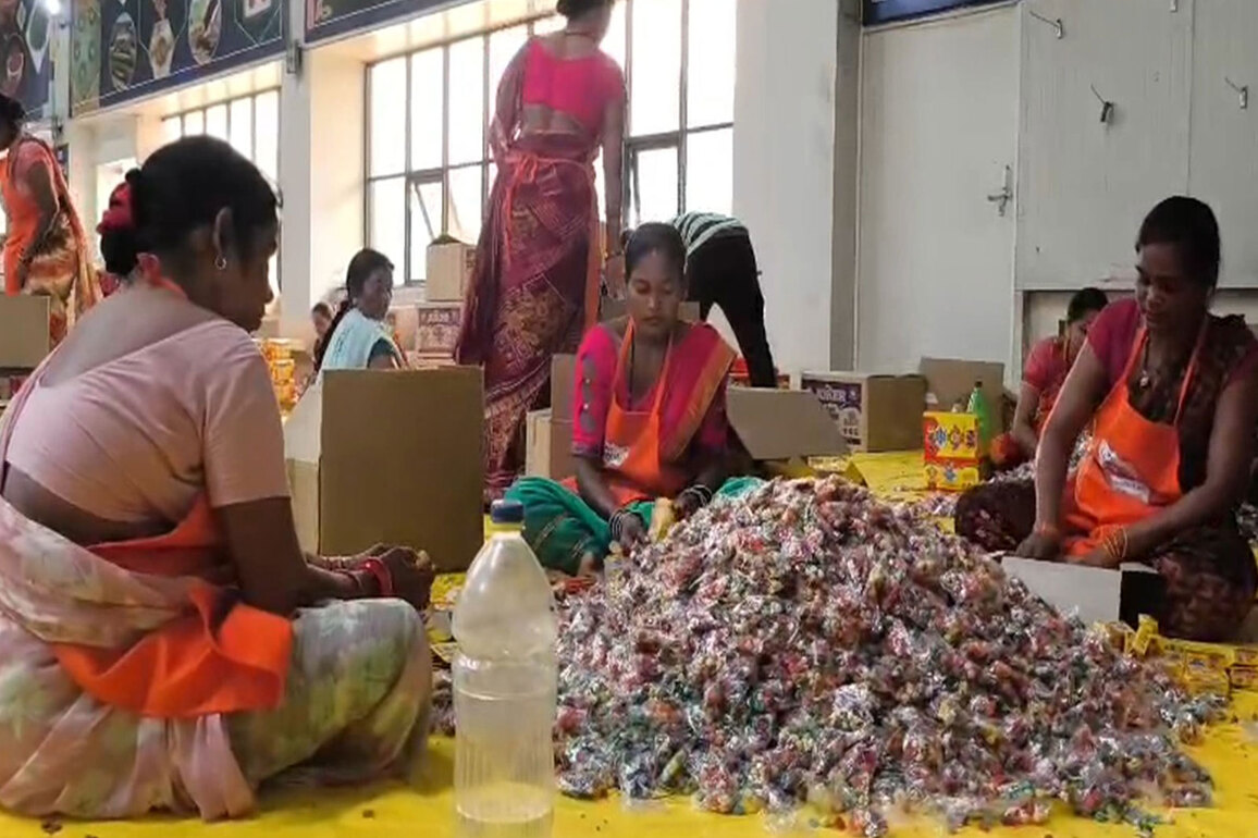 Chhattisgarh's green cracker initiative empowers about 200 women ahead of Diwali