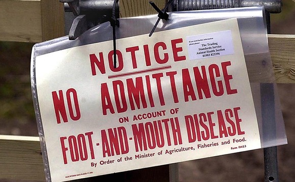 Foot-and-mouth 20 Years On: Generations of farmers reflect on their foot-and-mouth experiences