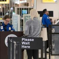 CEOs of airlines demand Congress pay workers, restore DHS funding
