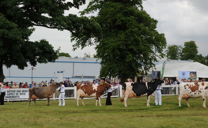 David Hastings will take to the ring as judge of this year's dairy inter-breed at the Highland