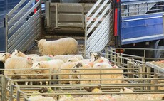 Industry calls for Cowbridge to have an Agri-Hub