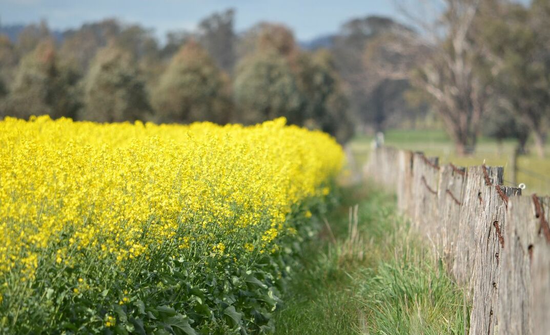 The conflict in the Middle East has the potential to impact input costs, and the price of wheat and canola, with the markets already responding to the changing situation. 