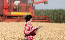 Introducing the finalists for the British Farming Awards New Entrant of the Year 2025 (Against the Odds) 