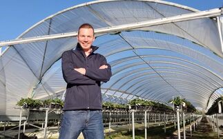 In your field: Dan Hawes – "I do feel relaxed and ready to take on work"