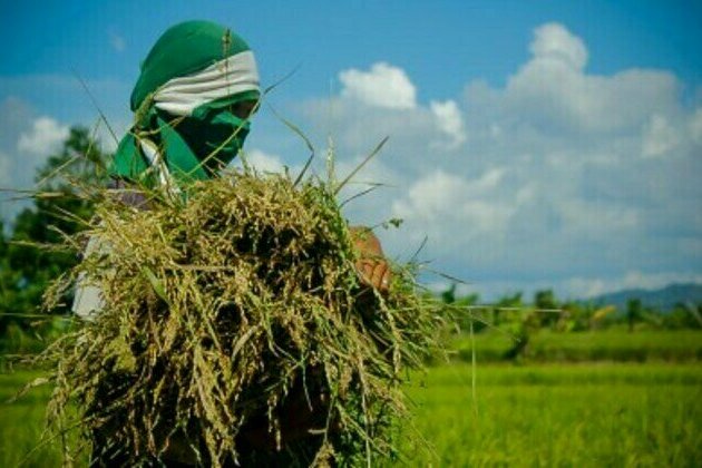Marcos administration to prioritize food security