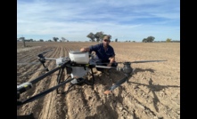  Ticket to fly:  Adam Hart, Aerial Ag Australia, Stewarton, Victoria, is able to apply chemicals and other products like bait and fertiliser from his DJI T40 drone.  Photos:  Mark Saunders.