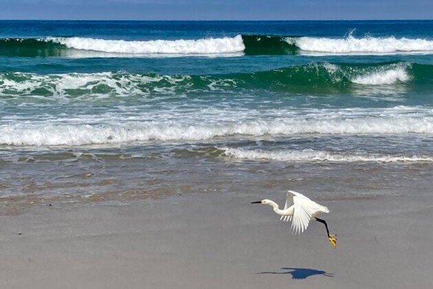 Lifeguards recover body of man believed to have drowned in Oceanside