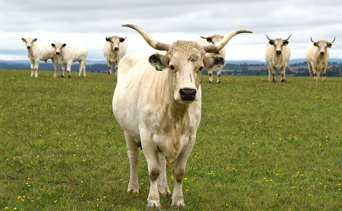 Maximising efficiencies mixed farm ensures all-round success