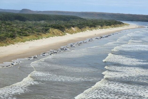 Earthquake of magnitude 6.0 jolts West of Macquarie Island