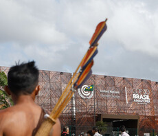 COP30: Five key takeaways for business from the Belém Climate Summit