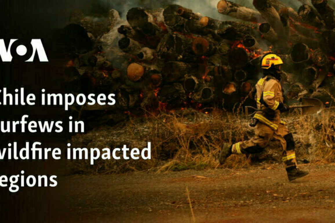 Chile imposes curfews in wildfire impacted regions