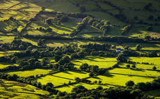 Expiring Countryside Stewardship agreements put environmental projects at risk